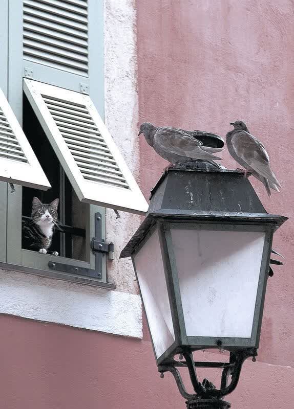 微型挖掘机出租广告词（出租挖掘机的霸气广告语）